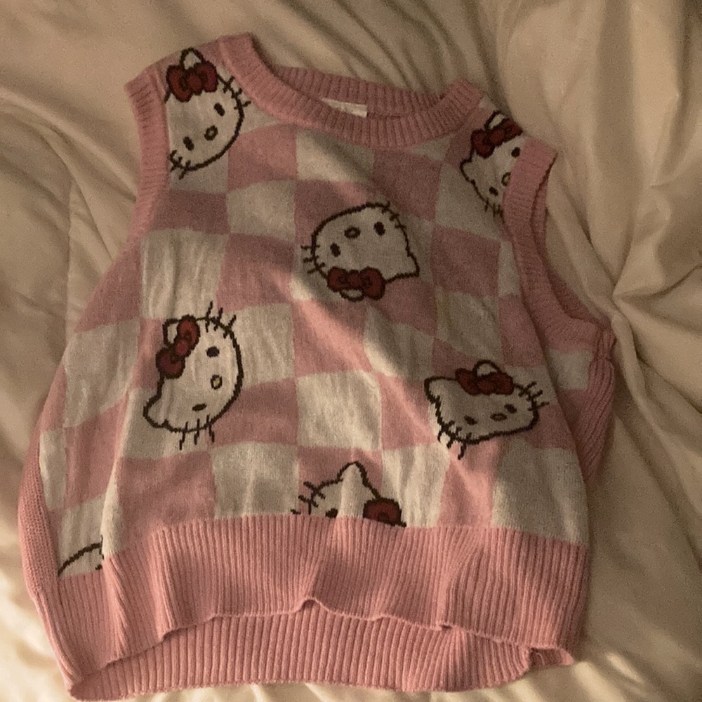 This hello kitty vest, this is a size medium, was never worn sells for $30